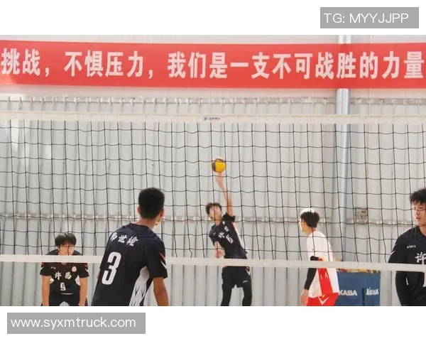 科学排球：力量训练方法